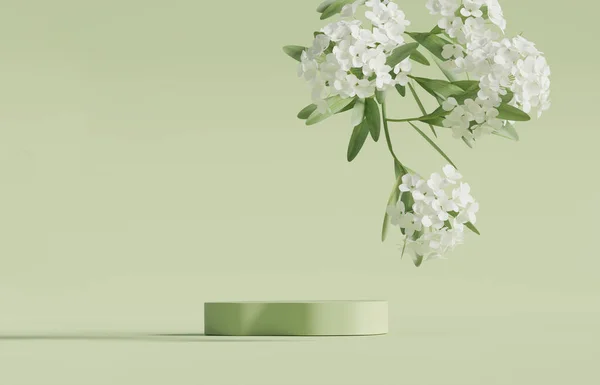 Display Podium Pastel Green Background White Flower Leaf Nature Blossom — Stock Photo, Image
