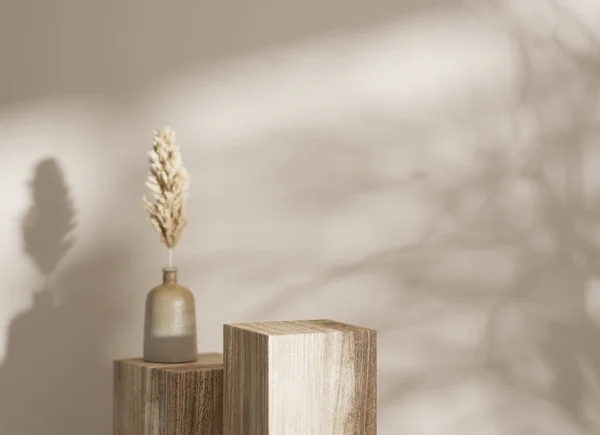 3D讲台 木材展示 花瓶里干枯的潘帕斯草 色彩艳丽的化妆品 美容产品的推广底座 自然树荫 展示的构图 摘要最小演播室3D渲染 — 图库照片