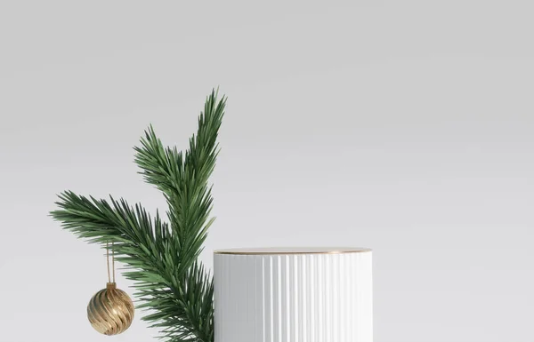 디스플레이 크리스마스 프레젠테이션 장식품 네이처 크리스마스 나무가지 추상적으로 말하면 스튜디오 — 스톡 사진