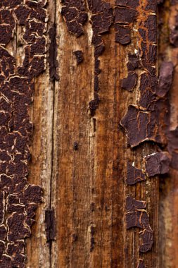 eski bir ahşap kapı yüzeyi