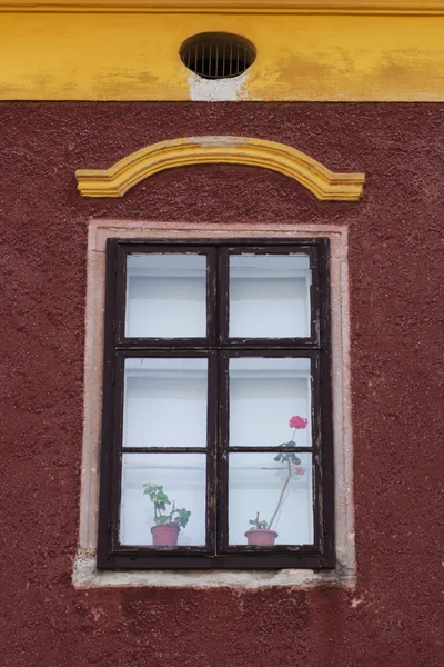 Fenster — Stockfoto