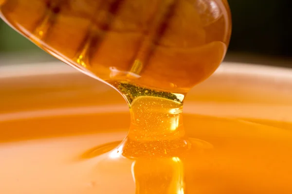 Druipende honing — Stockfoto