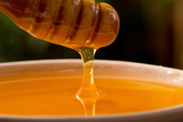 Dripping honey — Stock Photo, Image