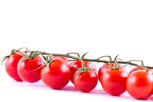 Bos van verse cherry tomaten — Stockfoto