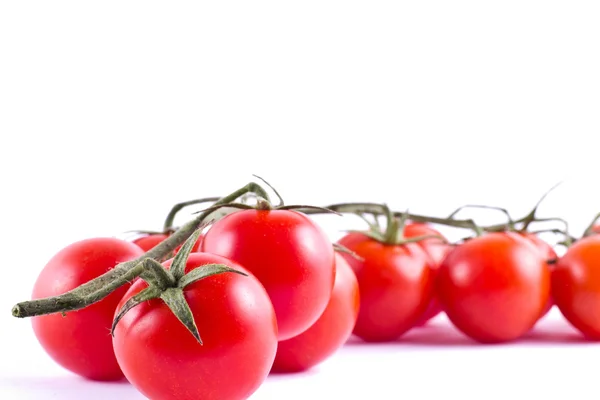 Pęczek świeżych pomidorów cherry — Zdjęcie stockowe