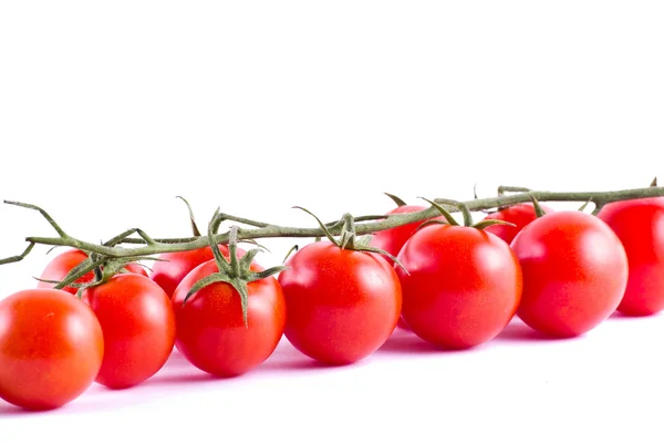 Bos van verse cherry tomaten — Stockfoto