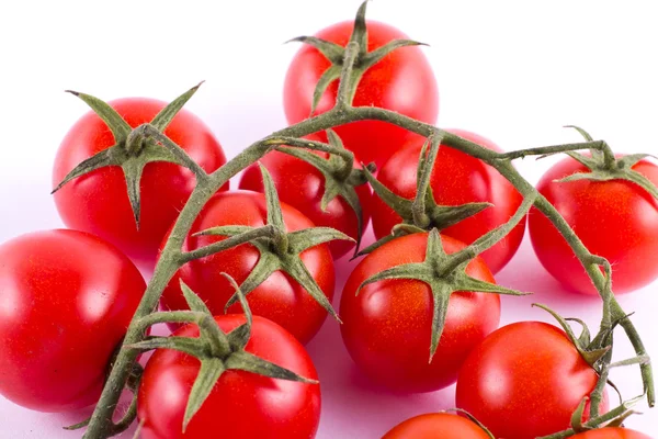 Bando de tomates cereja frescos — Fotografia de Stock