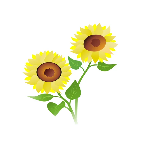 Girasoles — Archivo Imágenes Vectoriales