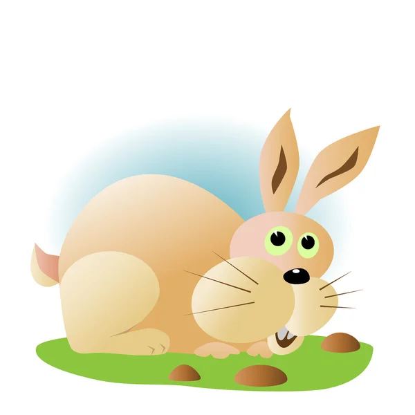 Rabbit — Stock Vector