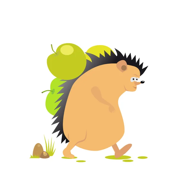 Hedgehog — Stock Vector