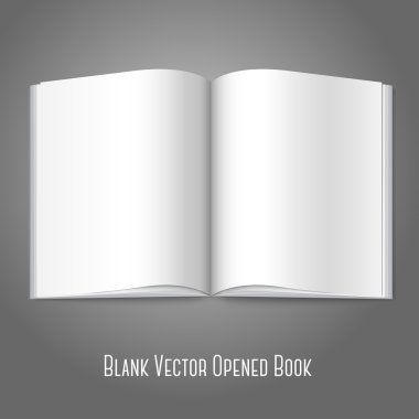 Açık kitap