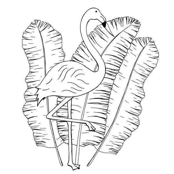 Flamingo Auf Einem Hintergrund Aus Bananenpalmenblättern Vektor Schwarz Weiß Illustration — Stockvektor