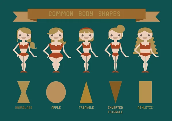 Gemeinsame Körperformen — Stockvektor