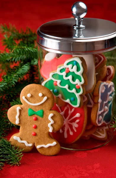 Biscoitos de gengibre — Fotografia de Stock