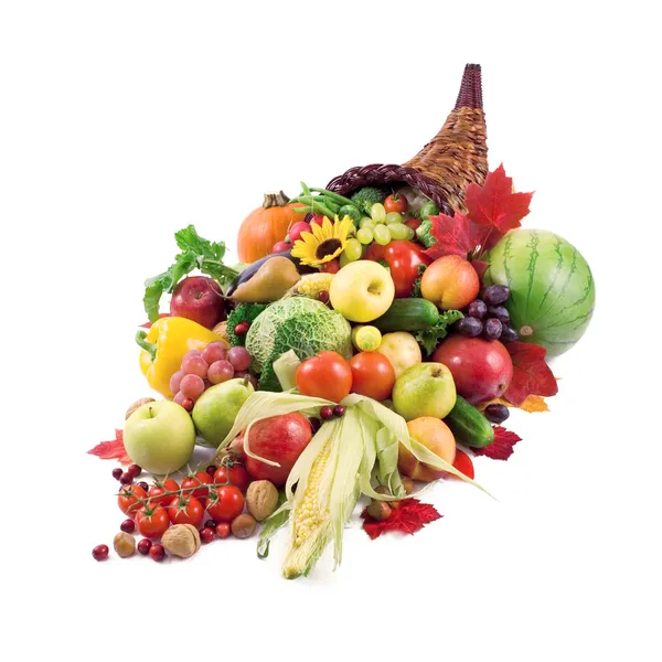 Herfst cornucopia — Stockfoto