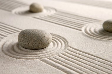 Mini zen Bahçesi