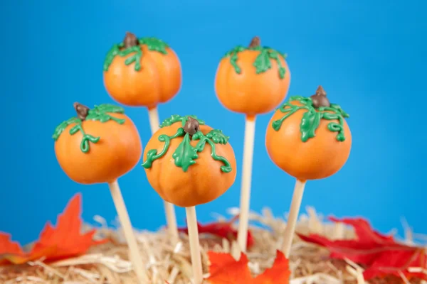 Pumpkin cake pops — Stockfoto