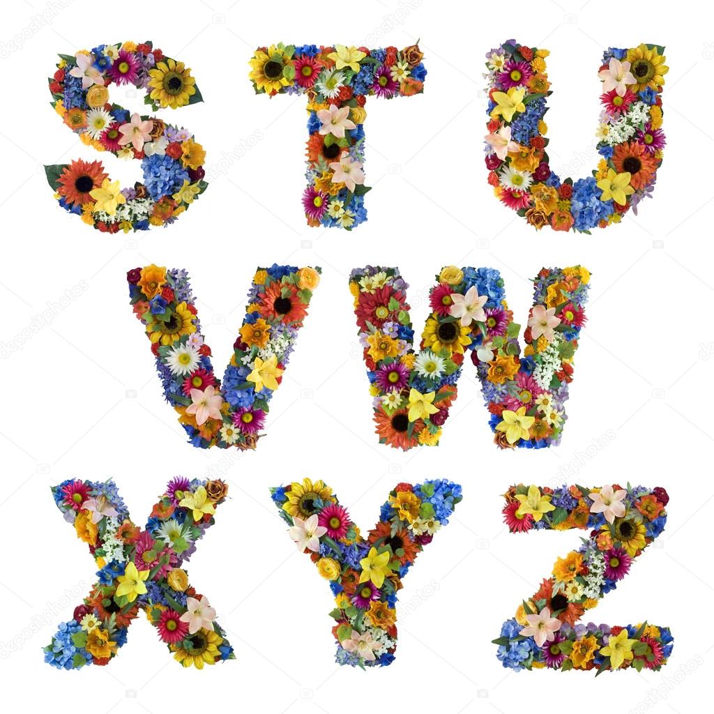 Letter S T U V W X Y Z made of flowers isolated on white background