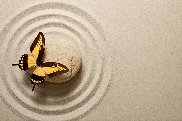 Piedra Zen con mariposa — Foto de Stock