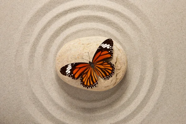 Roccia zen con farfalla — Foto Stock