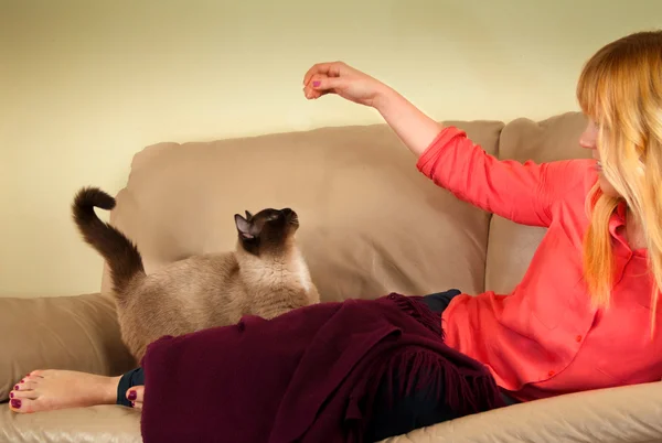 Mujer jugando con gato Imágenes de stock libres de derechos