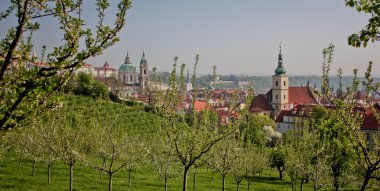 schilderachtige Praag uitzicht over petrin park