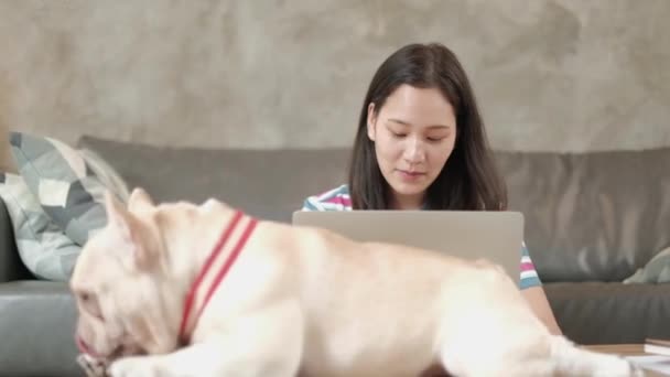 Amante Las Mascotas Informal Freelance Mujer Linda Asiática Que Trabaja — Vídeo de stock