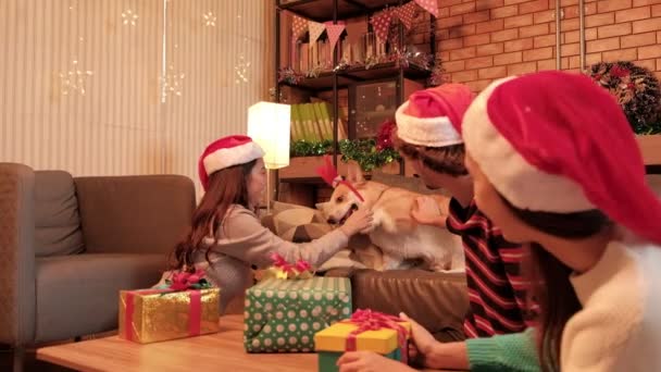 Amiga Etnia Asiática Provocando Cachorro Com Chapéu Vermelho Enquanto Prepara — Vídeo de Stock