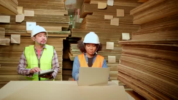 African American Female Worker Safety Uniform Hard Hat Male Colleague — Stock Video