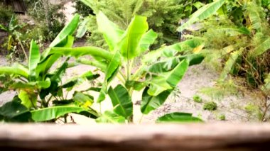 Chaing Mai, Tayland 'daki geleneksel bambu turist tatil beldelerinin ahşap terasından kırsal doğal manzara görüntüleri, açık hava sisi, dağ manzarasındaki yeşil ağaçlardaki köy..