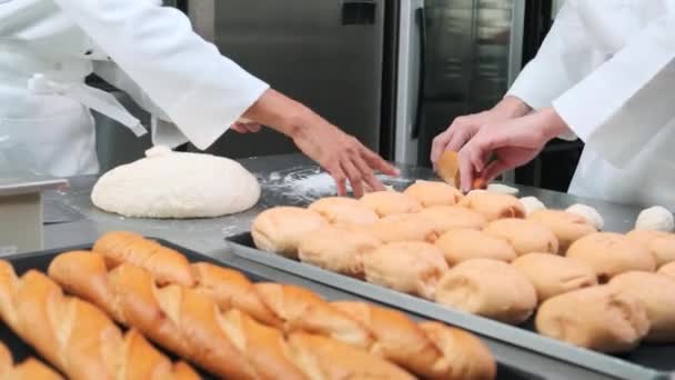 Großaufnahme Der Hand Der Köche Weißen Kochuniformen Und Schürzen Kneten — Stockvideo