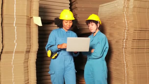 Dos Trabajadoras Colegas Uniformes Seguridad Control Stock Del Casco Controlan — Vídeo de stock