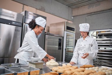 İki profesyonel aşçı üniforması ve önlüklü kadın aşçı hamur ve yumurta yoğurur, ekmek, kurabiye ve taze fırın yemeği hazırlar, bir restoranın paslanmaz çelik mutfağında fırında pişirir..