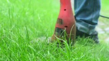 Kotların bakım bahçesinde çim biçme makinesiyle çimenlikteki çimenleri biçerken, yazın çimleri serpiştirirken, bahçe düzenlemesi yaparken yakın plan çekimleri..