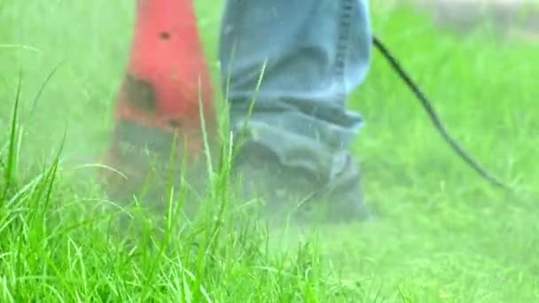 芝生の庭の生い茂った緑の草をトリミングし 夏に草を散乱し 屋外造園作業サービスを使用してジーンズメンテナンスガーデンで男性労働者のクローズアップショット — ストック動画