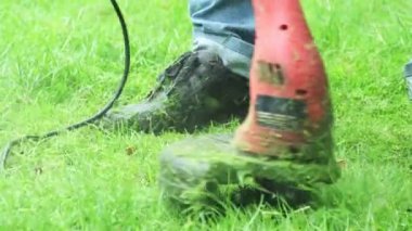 Kotların bakım bahçesinde çim biçme makinesiyle çimenlikteki çimenleri biçerken, yazın çimleri serpiştirirken, bahçe düzenlemesi yaparken yakın plan çekimleri..