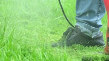 Kotların bakım bahçesinde çim biçme makinesiyle çimenlikteki çimenleri biçerken, yazın çimleri serpiştirirken, bahçe düzenlemesi yaparken yakın plan çekimleri..
