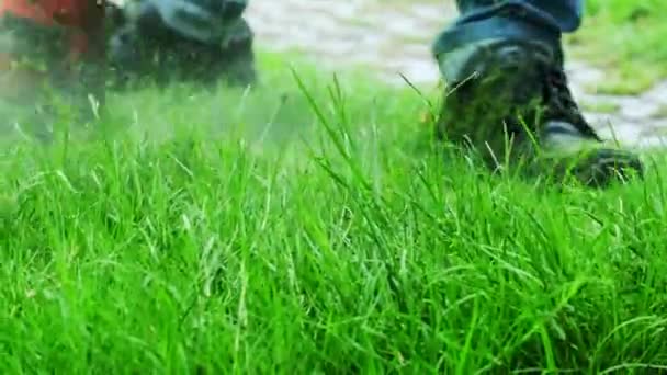 Close Shot Male Worker Jeans Maintenance Garden Using Electric Lawnmower — Stok video