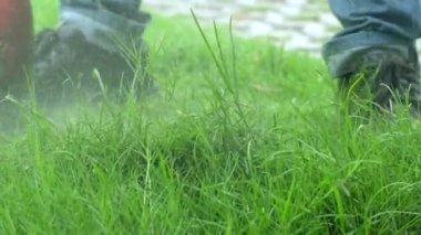 Kotların bakım bahçesinde çim biçme makinesiyle çimenlikteki çimenleri biçerken, yazın çimleri serpiştirirken, bahçe düzenlemesi yaparken yakın plan çekimleri..