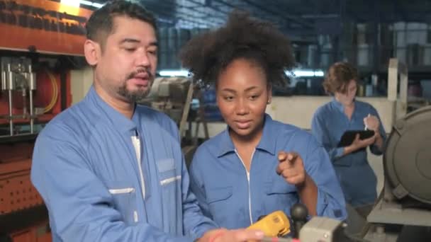 アジア系男性 女性アフリカ系アメリカ人技術者が 製造工場での機械の電圧電流 維持管理 電気システムサービス業務を視察 — ストック動画