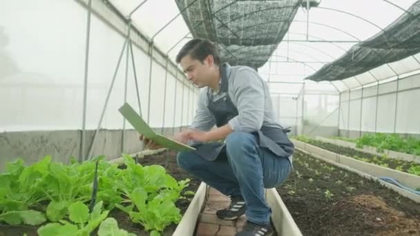 One Modern Male Farmer Experiments Working Laptop Plantation Greenhouse Gardener — Stockvideo