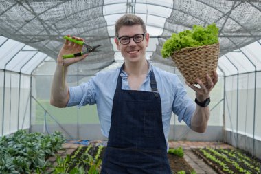 Bir sepet taze sebzeli beyaz erkek çiftçi ve çiftlik serasında mutlu bir gülümsemeyle budama makası. Bahçıvan, tarım ürünlerinden doğal organik ürünler topluyor..