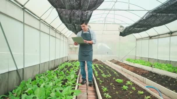 One Modern Male Farmer Experiments Working Laptop Plantation Greenhouse Gardener — Stockvideo