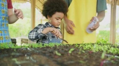 African American farmer father teaches son to plant a seedling in a vegetable gardening nursery plot for nature ecology learning, organic gardener family, happy together with childhood agriculture.