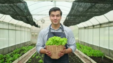 One male farmer looks and gives the basket of fresh vegetables to camera with a happy smile in plantation greenhouse. Gardener man collects natural organic produce from agriculture nursery crops.