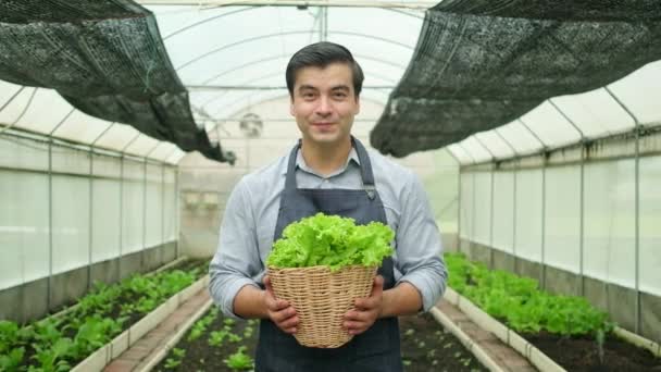 One Male Farmer Looks Gives Basket Fresh Vegetables Camera Happy — Video Stock