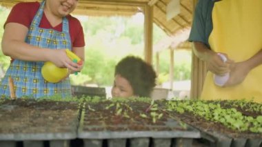 Happy African American farmer family with half-caste boy fun spray water seedling in nursery plot with gardening foggy, organic vegetable cultivated, green nature agriculture in ecology countryside.