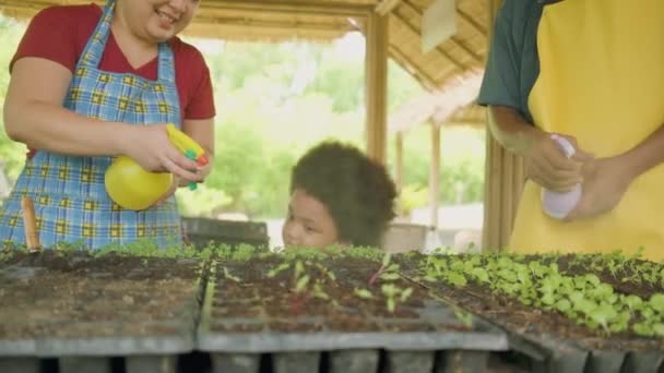 Happy African American Farmer Family Half Caste Boy Fun Spray — Stock video