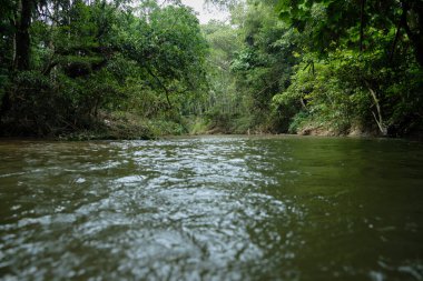Tranquil tropical natural landscape scenic view, flowing water stream in the evergreen rainforest park, freshwater river with trees foliage, beautiful outdoor environment, Asia adventure tourism.