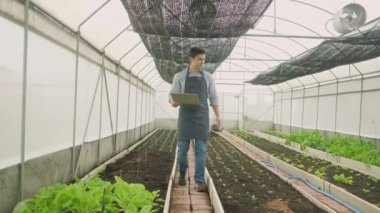 One modern male farmer experiments working with laptop in plantation greenhouse. Gardener man checks and inspects vegetable growth, agriculture nursery crops, and fresh organic green nature product.
